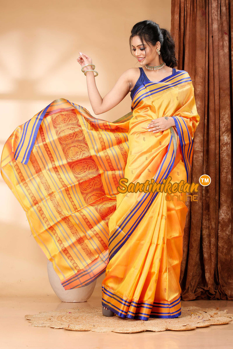 Soft Color Garad Saree SN202419214