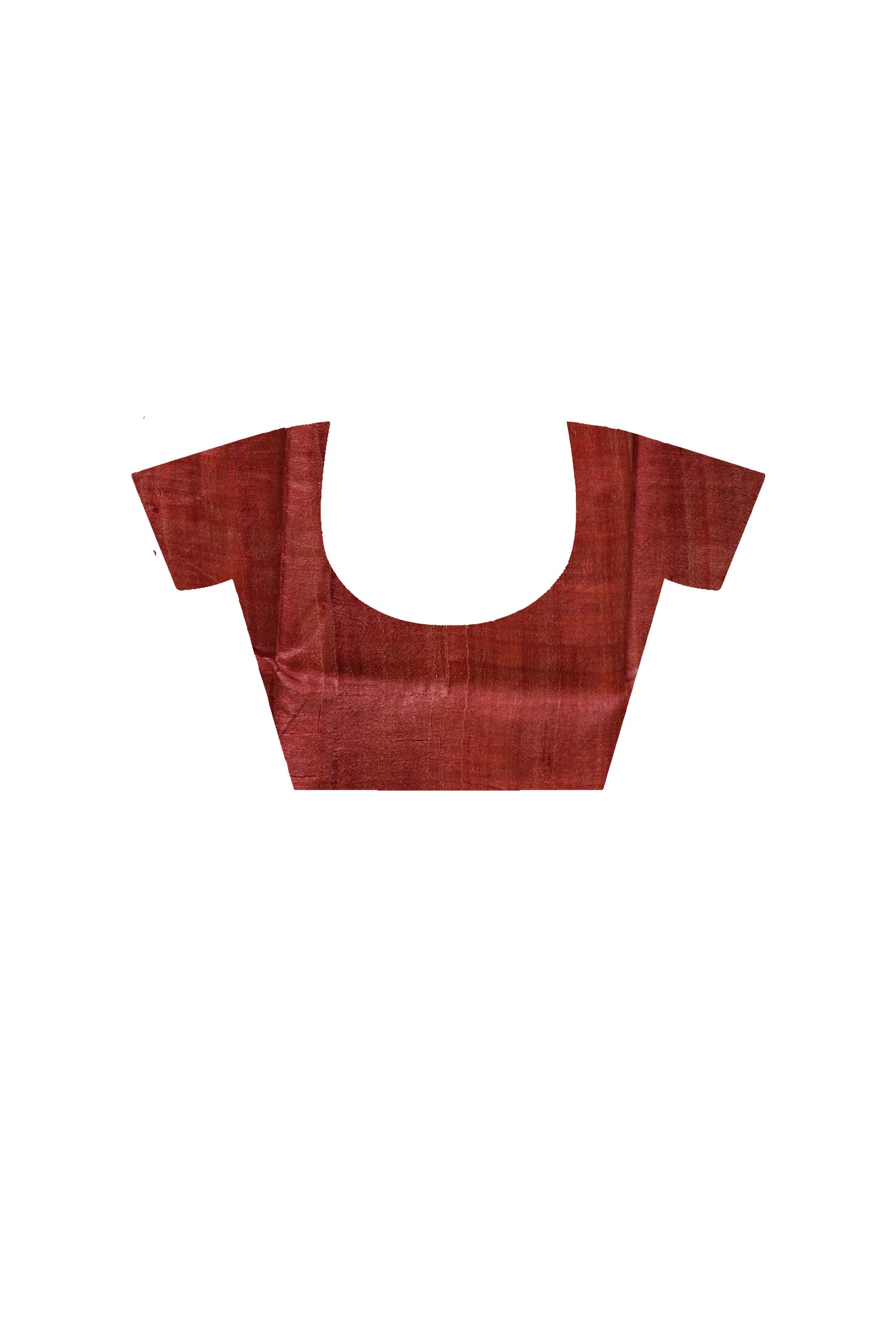 Pure Zari Tussar Hand Block Painted Saree SN2630293