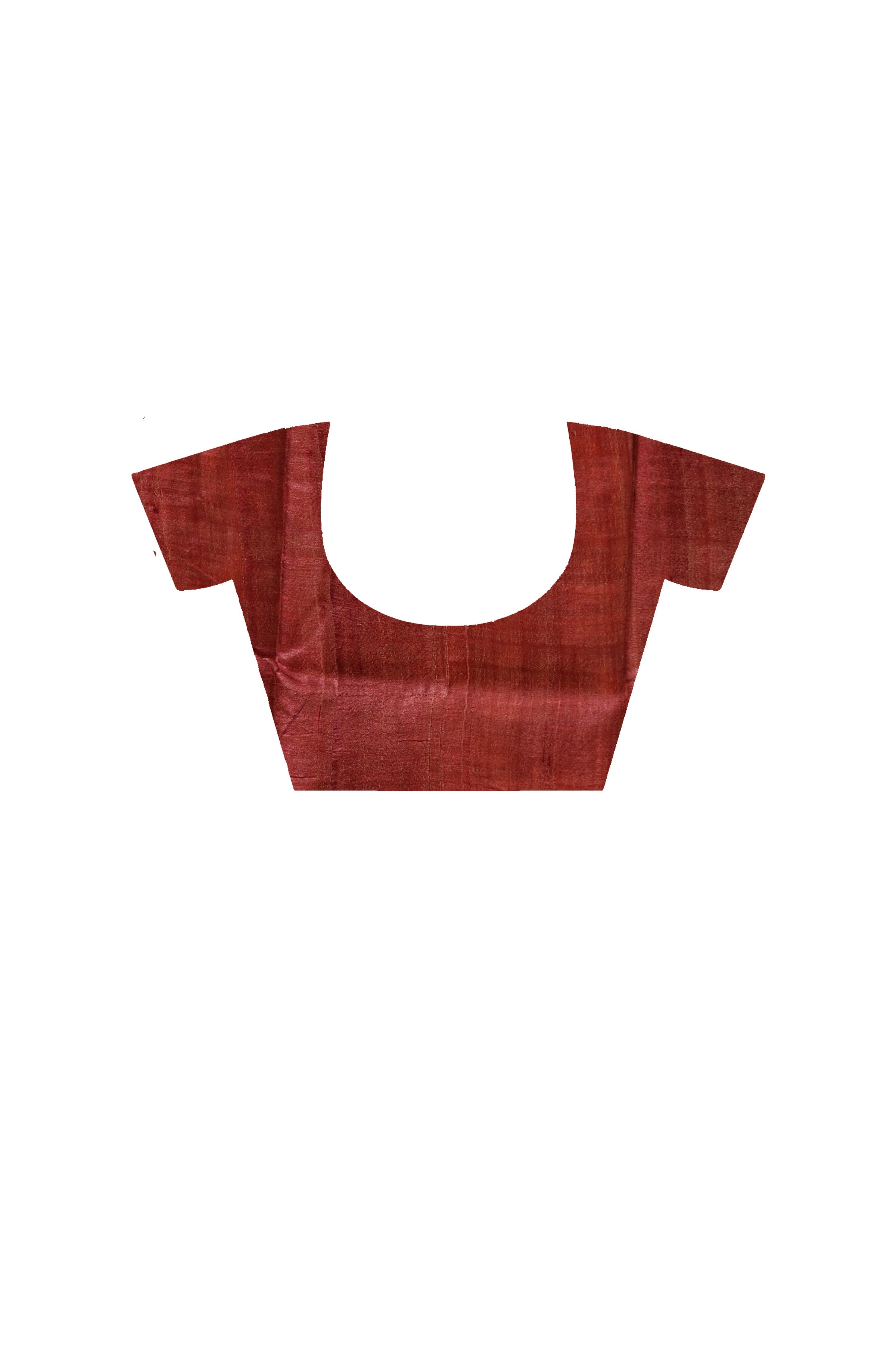 Pure Zari Tussar Hand Block Painted Saree SN2630293